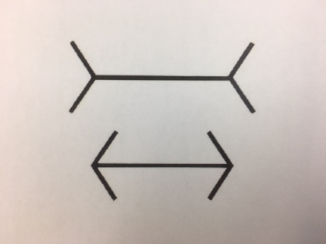 この線 どっちが長い という授業 ﾟdﾟ アーティスティックb